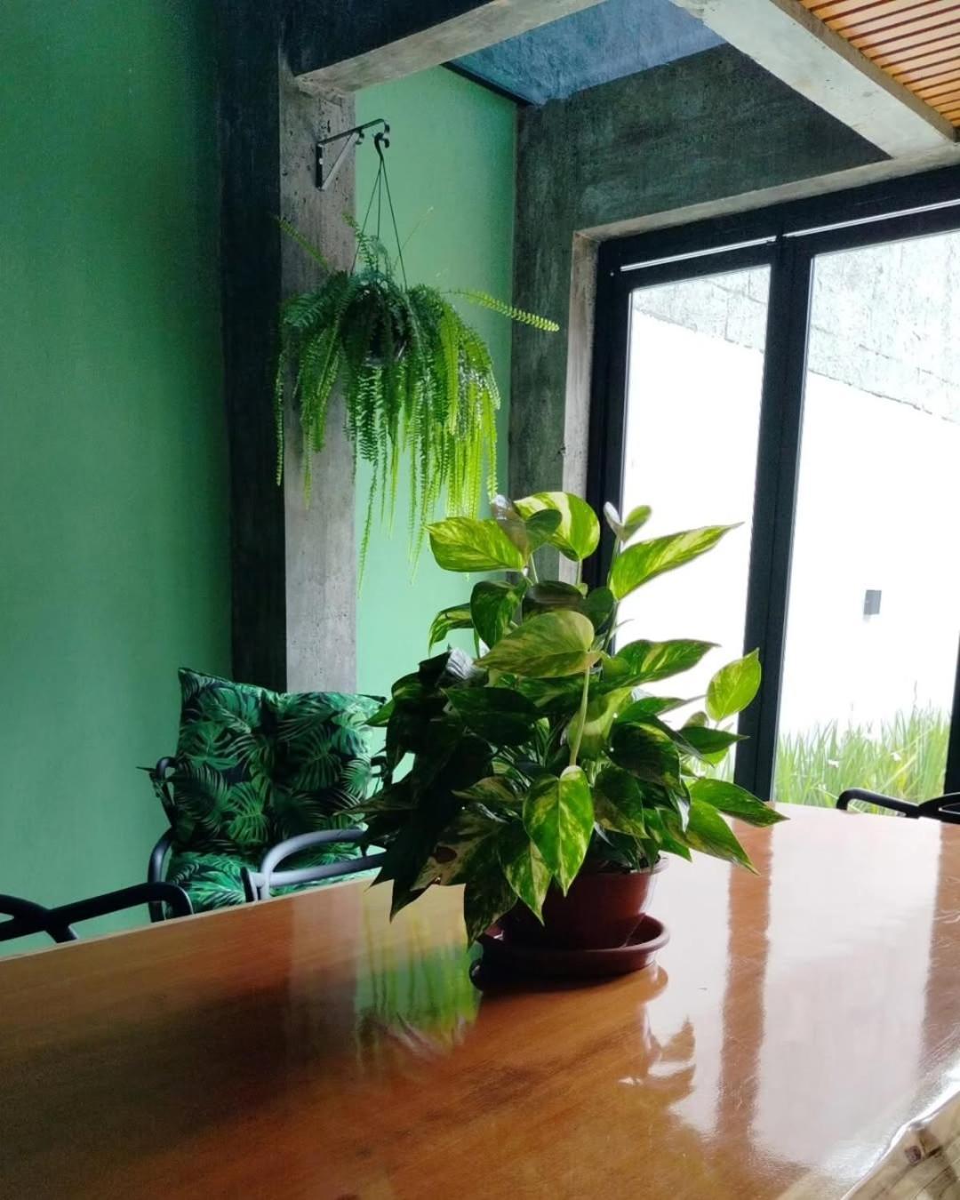 Da Trilha Lodge