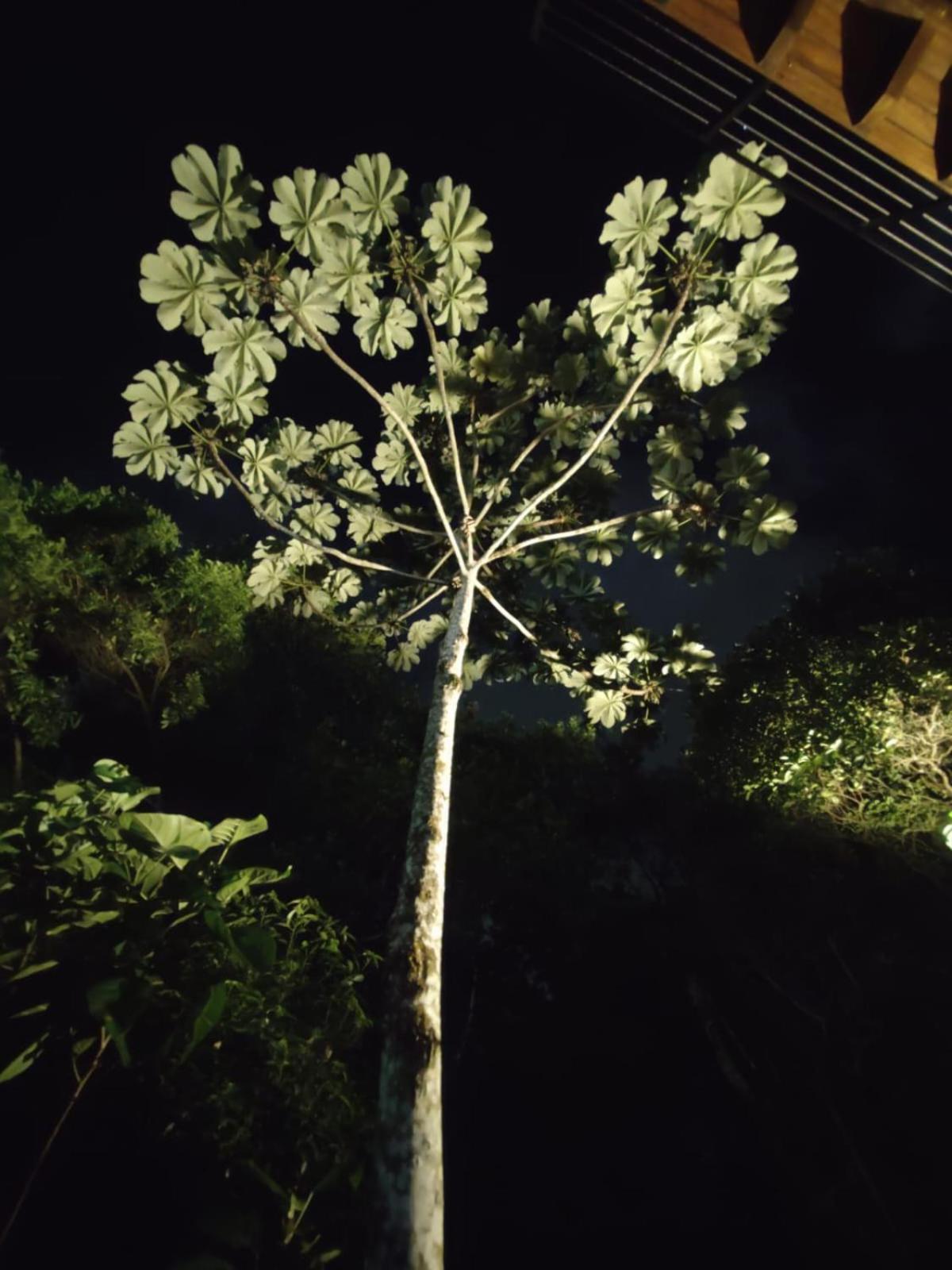 Da Trilha Penha (Santa Catarina)
